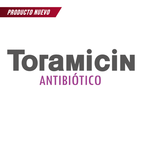 Toramicin