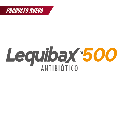 Lequibax® 500